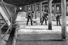 Malting floor in an American brewery, 1885