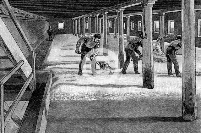 Malting floor in an American brewery, 1885. Artist: Unknown