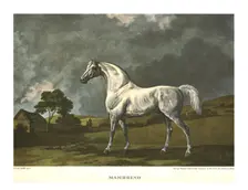 Mambrino c1779, (c1955). Creator: Unknown