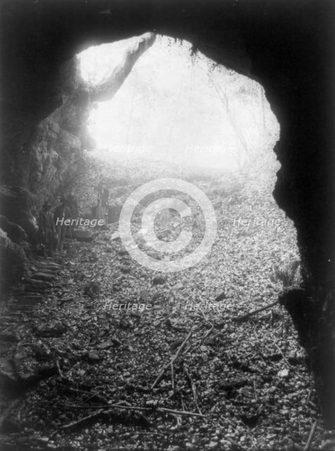 Mammoth Cave, Kentucky --looking backward, c1891. Creator: Frances Benjamin Johnston.