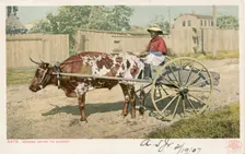 Mammy going to Market, 1902 - 1903. Creator: Detroit Publishing Company