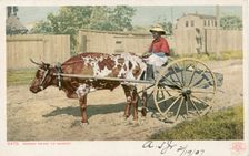 Mammy going to Market, 1902 - 1903. Creator: Detroit Publishing Company