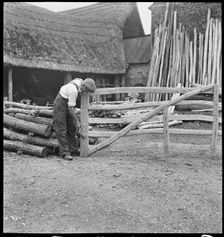Man making a field gate in the village of Aston, Cote, Shifford and Chimney, Oxfordshire, 1930-50. Creator: George R Long