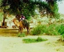Man on camel, buildings in background, between 1905 and 1915. Creator: Sergey Mikhaylovich Prokudin-Gorsky