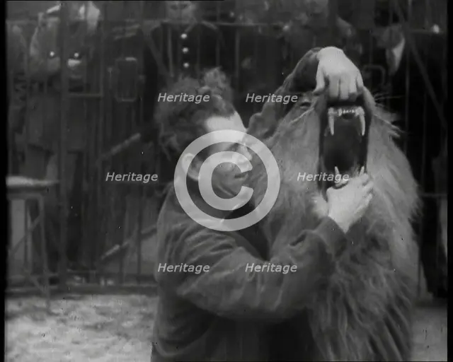 Man Opening a Lion’s Mouth, 1930s. Creator: British Pathe Ltd.