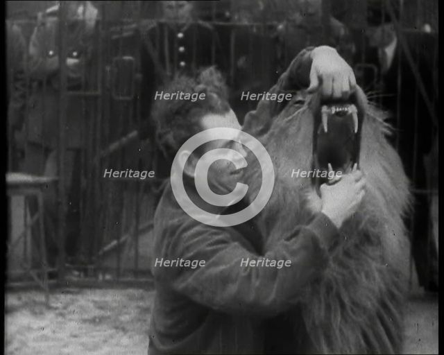 Man Opening a Lion’s Mouth, 1930s. Creator: British Pathe Ltd.