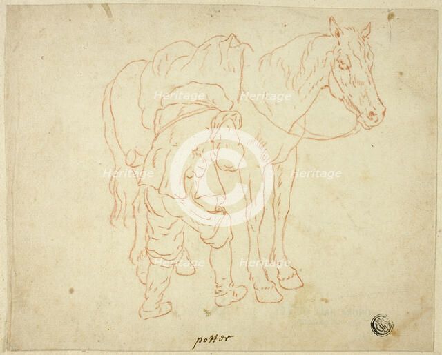 Man Adjusting Saddle on Horse, n.d. Creator: Unknown.