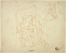 Man Adjusting Saddle on Horse, n.d. Creator: Unknown