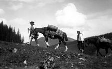Man and woman leading horses, Bistrita Valley, Moldavia, north-east Romania, c1920-c1945. Artist: Adolph Chevalier