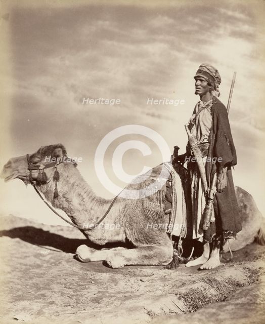 Man and camel, about 1870-1890. Creator: Unknown.