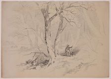 Man and Dog in the Woods, 19th century. Creator: John William Casilear