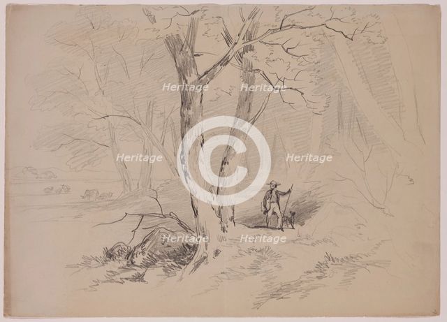 Man and Dog in the Woods, 19th century. Creator: John William Casilear.