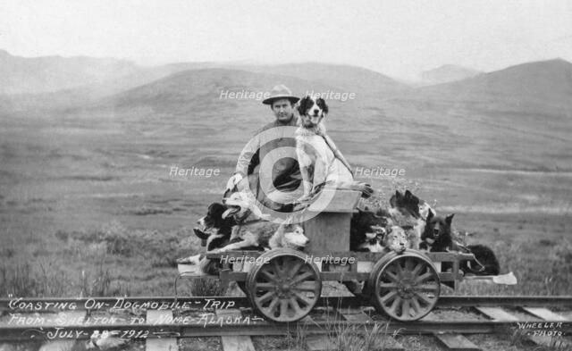 Man and dogs on rail cart trip from Shelton to Nome, 1912. Creator: Unknown.