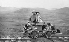 Man and dogs on rail cart trip from Shelton to Nome, 1912. Creator: Unknown