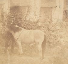 [Man and Horse, Government House, Allahabad], 1858. Creator: John Constantine Stanley
