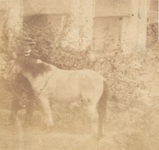 [Man and Horse, Government House, Allahabad], 1858. Creator: John Constantine Stanley