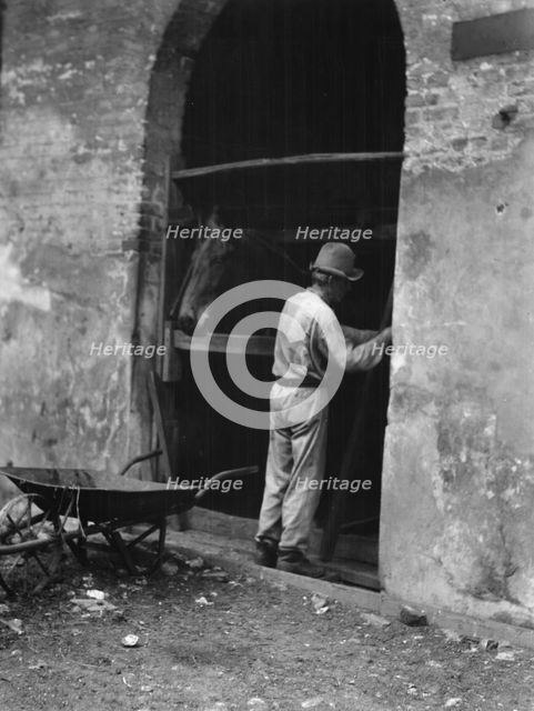 Man and horse in stall, New Orleans or Charleston, South Carolina, between 1920 and 1926. Creator: Arnold Genthe.