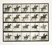 Man and horse jumping a fence, 1887 Artist: Eadweard J Muybridge