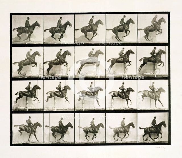 Man and horse jumping a fence, 1887 Creator: Eadweard J Muybridge.