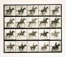 Man and horse jumping a fence, 1887 Creator: Eadweard J Muybridge