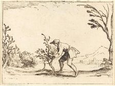 Man Cutting a Balm-Tree. Creator: Jacques Callot