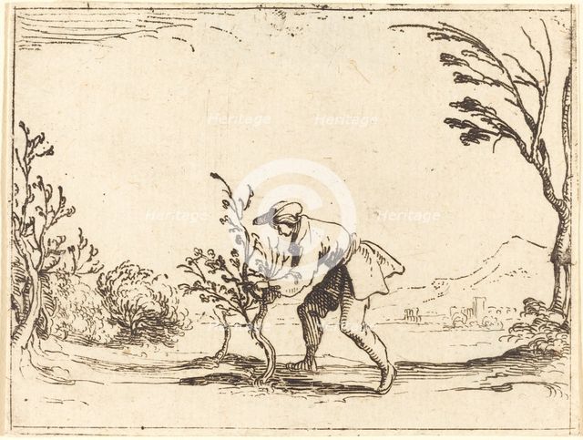Man Cutting a Balm-Tree. Creator: Jacques Callot.