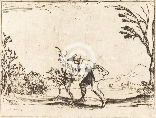 Man Cutting a Balm-Tree. Creator: Jacques Callot.
