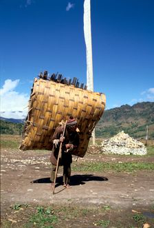 Man carrying a huge load, Bumthang, Bhutan. Creator: Vivienne Sharp