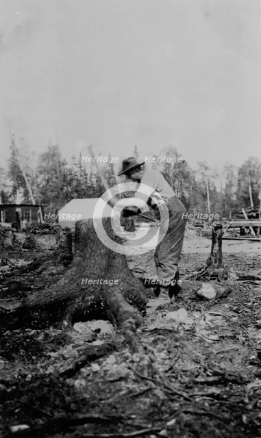 Man chopping down a tree, between c1900 and 1916. Creator: Unknown.