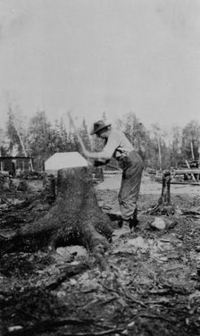 Man chopping down a tree, between c1900 and 1916. Creator: Unknown