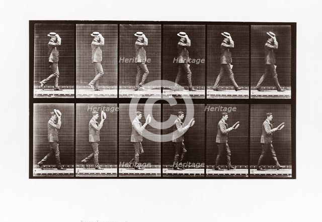 Man doffing his boater, Plate 44 from Animal Locomotion, 1887 (photograph)