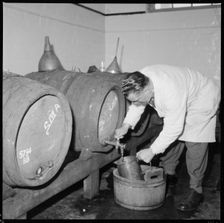 Man drawing a sample of beer from a barrel, Burton upon Trent, Staffordshire, 1965-1968. Creator: Eileen Deste