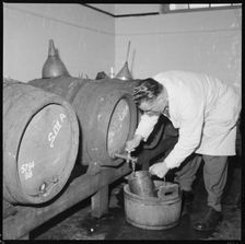 Man drawing a sample of beer from a barrel, Burton upon Trent, Staffordshire, 1965-1968. Creator: Eileen Deste