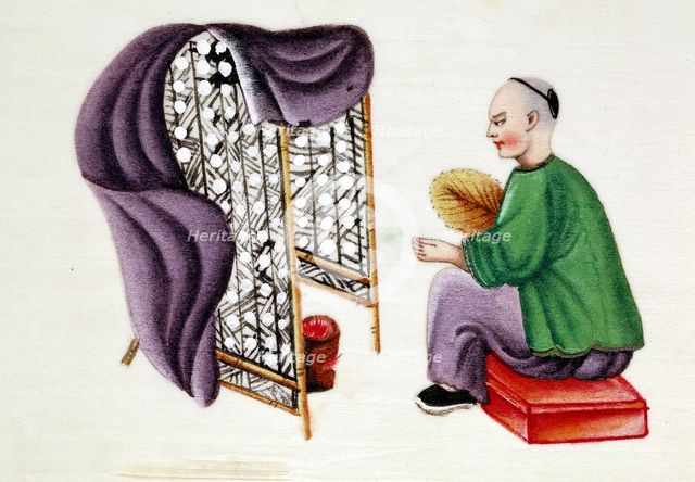 Man drying silkworm cocoons, 19th century. Artist: Unknown