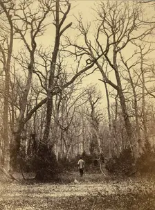 [Man in a Forest Landscape], ca. 1870. Creator: Charles Famin