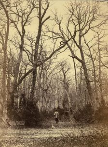 [Man in a Forest Landscape], ca. 1870. Creator: Charles Famin