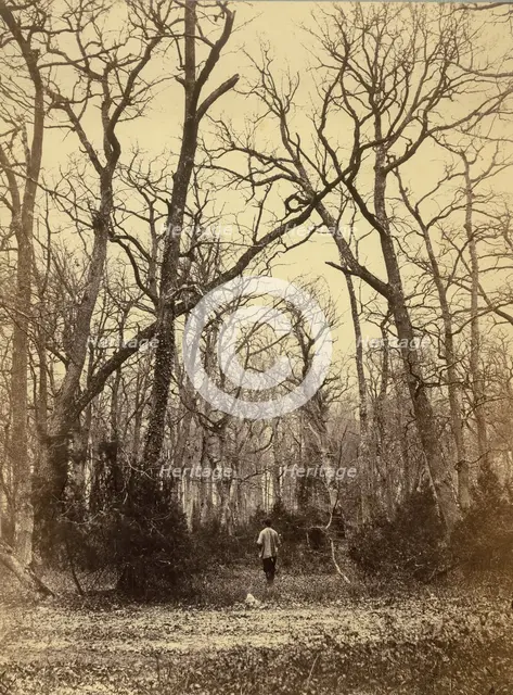 [Man in a Forest Landscape], ca. 1870. Creator: Charles Famin.
