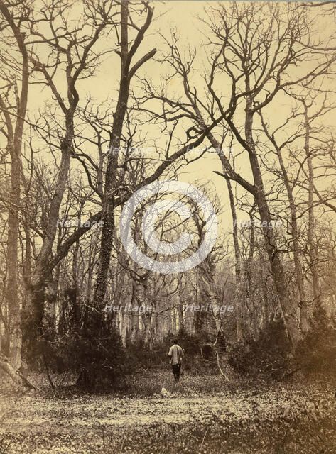 [Man in a Forest Landscape], ca. 1870. Creator: Charles Famin.