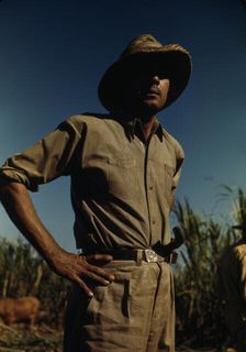 Man in a sugar-cane field during harvest, vicinity of Rio Piedras? Puerto Rico, 1941 or 1942. Creator: Jack Delano
