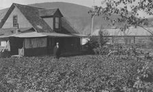 Man in frontyard of house, between c1900 and 1916. Creator: Unknown