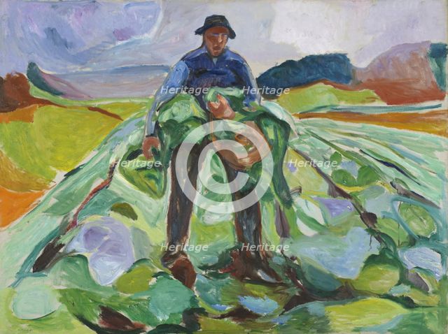 Man in the Cabbage Field, 1916. Creator: Edvard Munch.