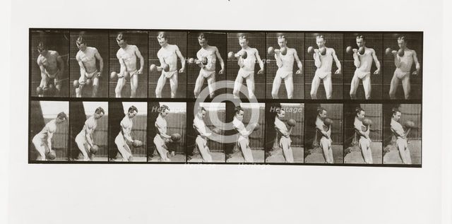 Man lifting a dumbbell, Plate 324 from Animal Locomotion, 1887 (photograph)