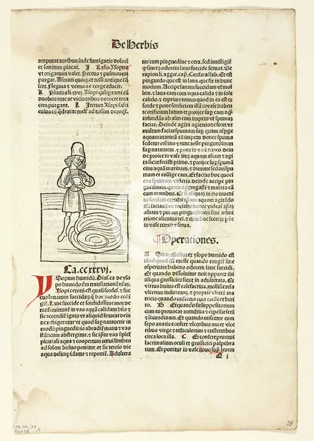 Man purging fluid from lungs (recto) and Plant for abdominal pain (verso)...1491, ... assembled 1929 Creators: Unknown, Jacob Meydenbach, Wilhelm Ludwig Schreiber.