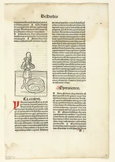 Man purging fluid from lungs (recto) and Plant for abdominal pain (verso)...1491, ... assembled 1929 Creators: Unknown, Jacob Meydenbach, Wilhelm Ludwig Schreiber