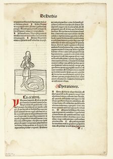Man purging fluid from lungs (recto) and Plant for abdominal pain (verso)...1491, ... assembled 1929 Creators: Unknown, Jacob Meydenbach, Wilhelm Ludwig Schreiber