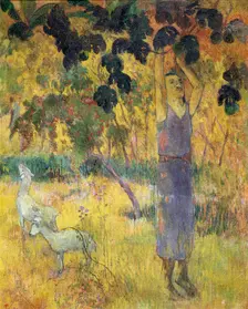 Man Picking Fruit from a Tree 1897. Artist: Paul Gauguin