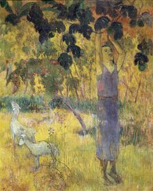 Man Picking Fruit from a Tree 1897. Artist: Paul Gauguin
