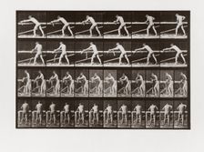 Man planing wood, Plate 379 from Animal Locomotion, 1887 (photograph)