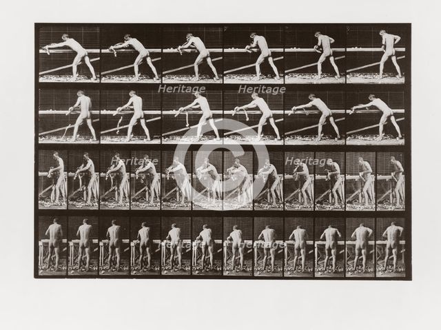 Man planing wood, Plate 379 from Animal Locomotion, 1887 (photograph)