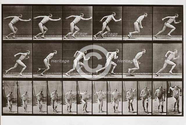 Man running, Plate 59 from Animal Locomotion, 1887 (photograph)